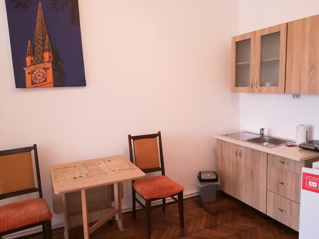 Ferdinand Apartments Mediaş エクステリア 写真