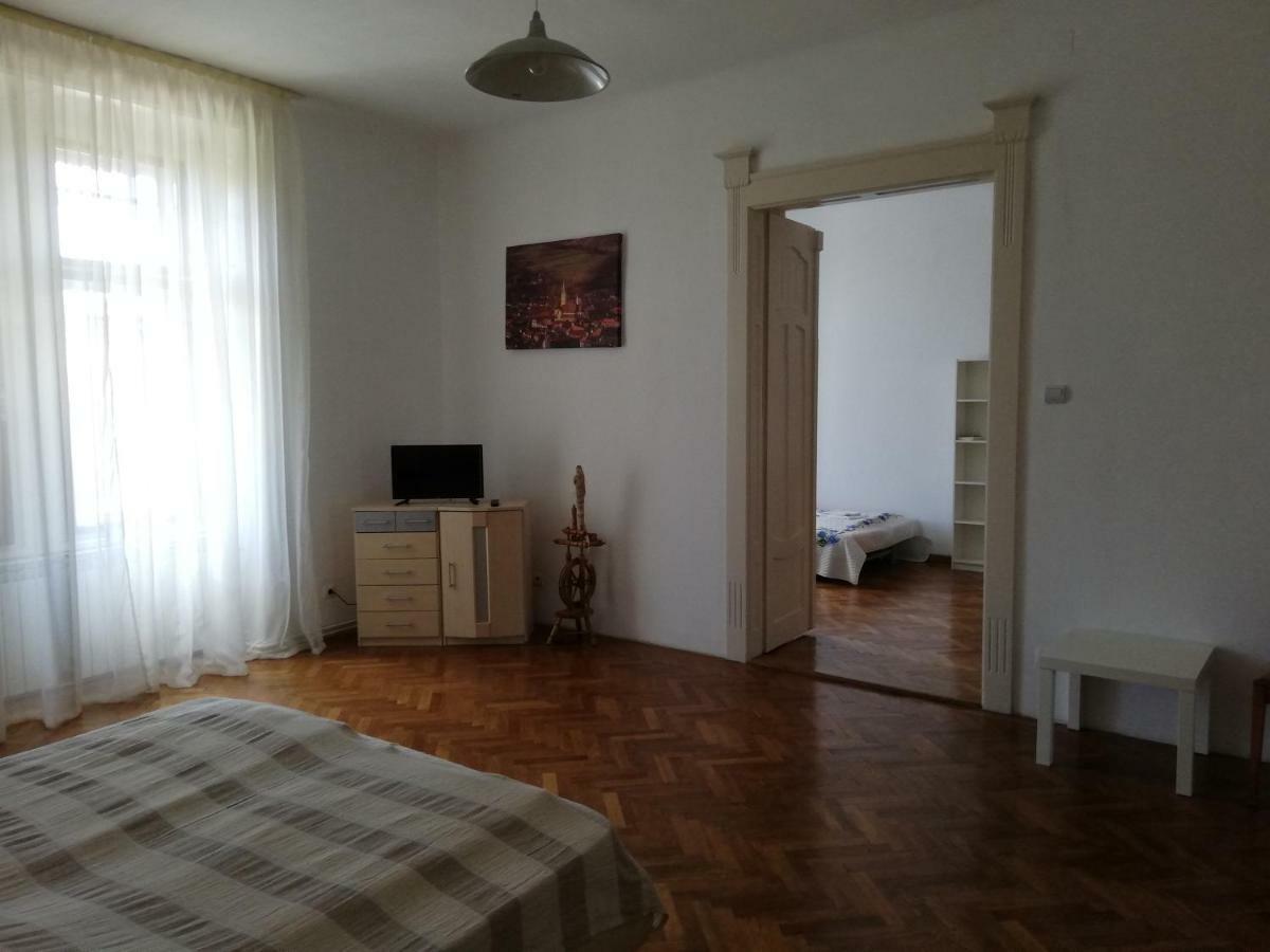 Ferdinand Apartments Mediaş エクステリア 写真
