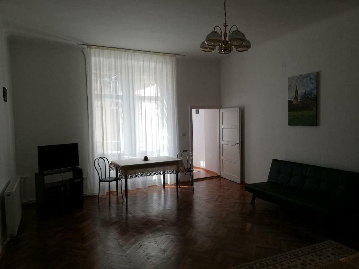 Ferdinand Apartments Mediaş エクステリア 写真