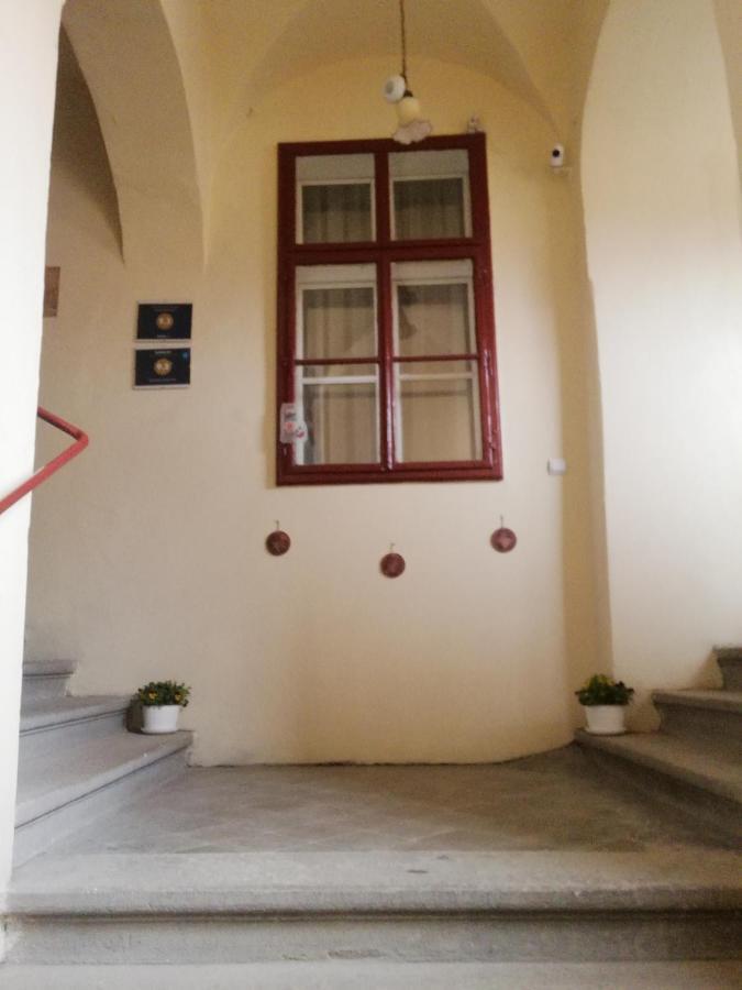 Ferdinand Apartments Mediaş エクステリア 写真